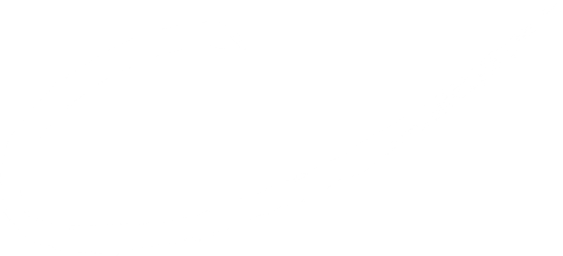 Icone logo