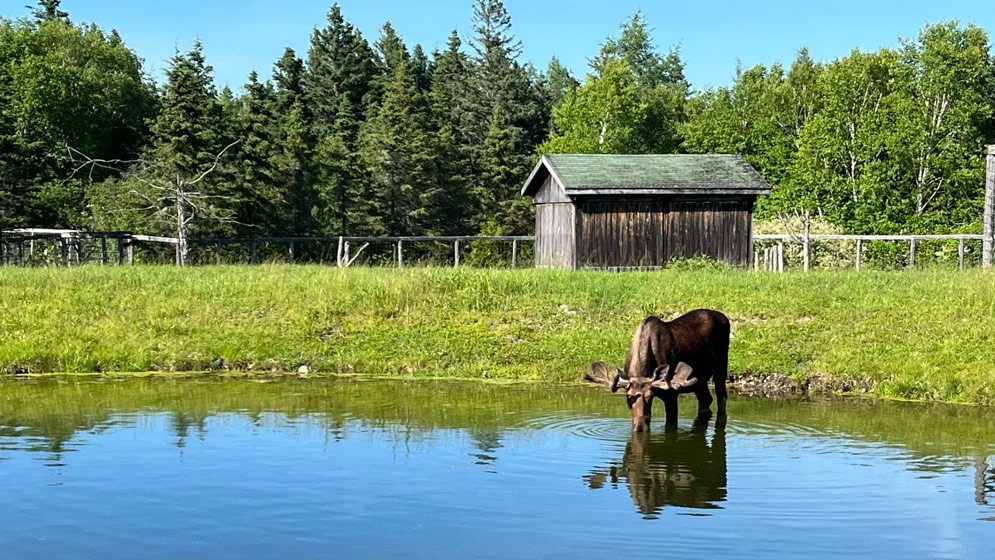 Bioparc de la Gaspésie